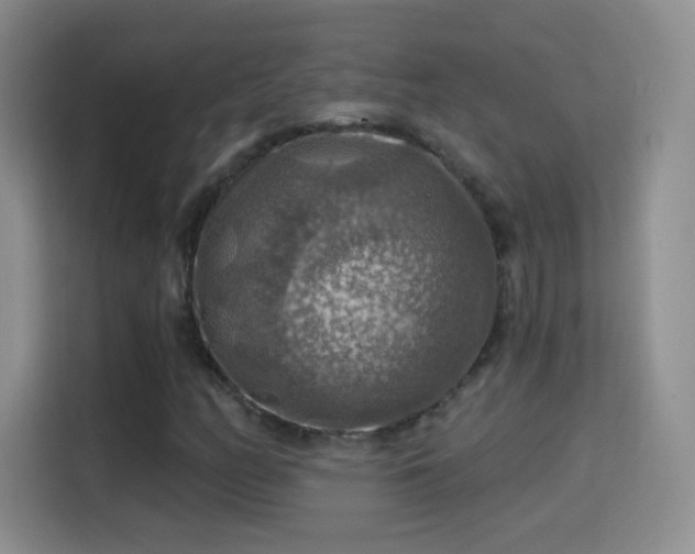 X0000115361158200911101150