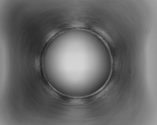 X0000115361162200911101150
