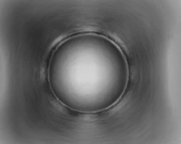 X0000115361163200911101150