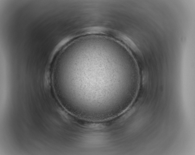X0000115361164200911101150