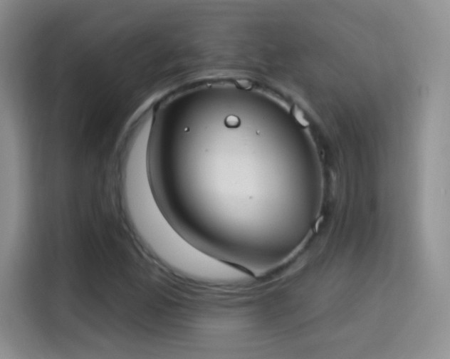 X0000115361165200911101150