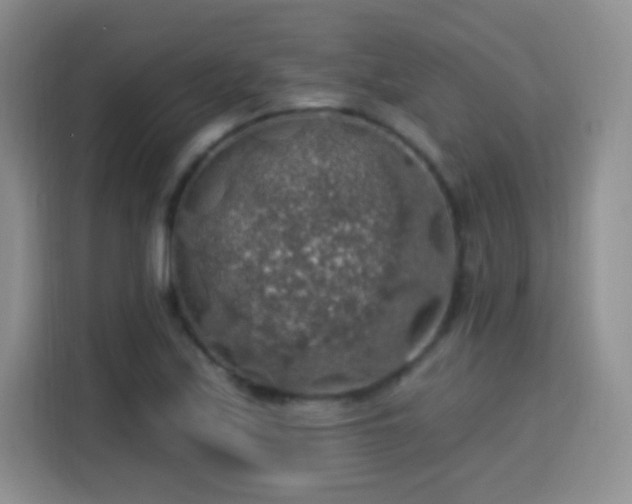 X0000115361171200911101150