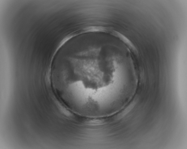 X0000115361178200911101150