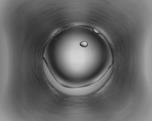 X0000115361185200911101150