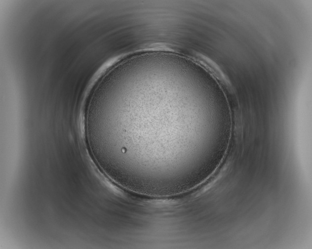 X0000115361188200911101150