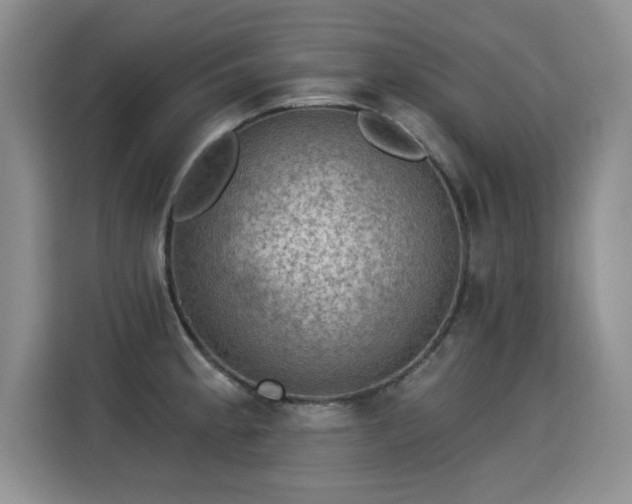 X0000115361189200911101150
