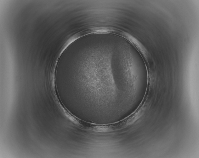 X0000115361194200911101150
