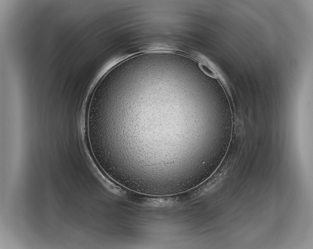 X0000115361195200911101150