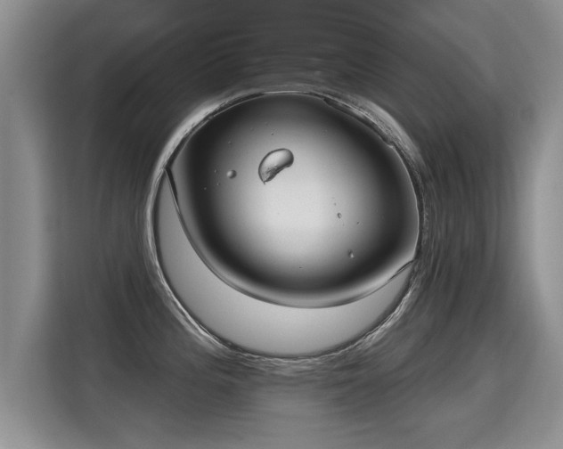 X0000115361196200911101150