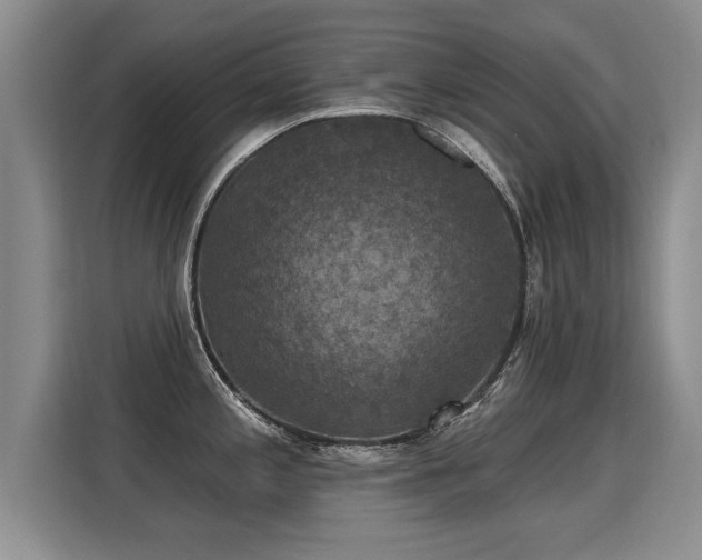 X0000115361197200911101150
