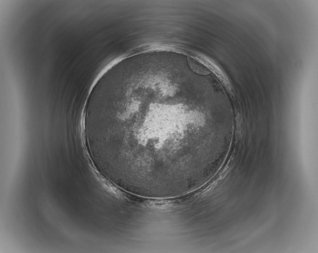 X0000115361198200911101150