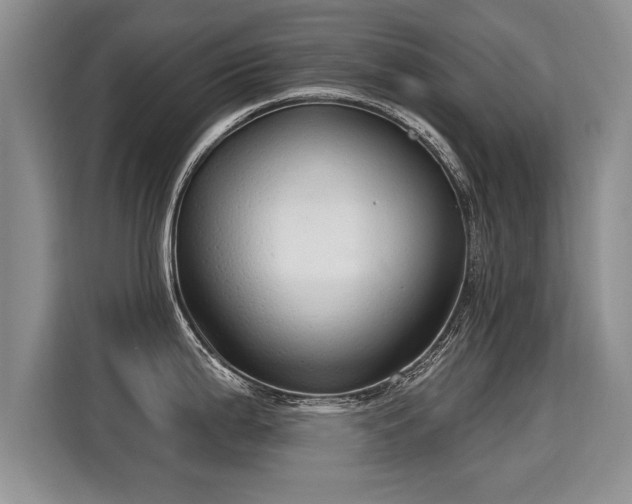 X0000115361199200911101150