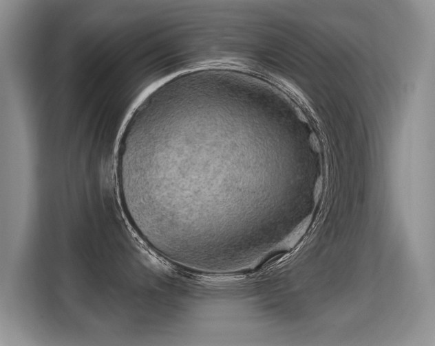 X0000115361200200911101150