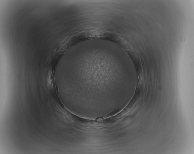 X0000115361202200911101149