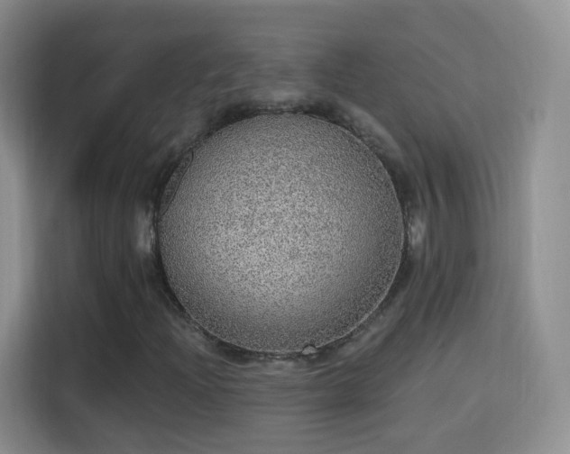X0000115361204200911101149