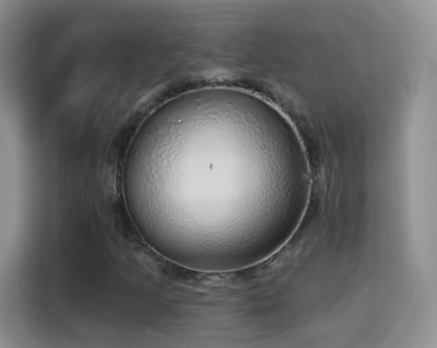 X0000115361205200911101149