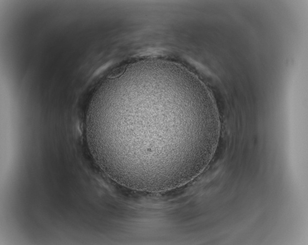 X0000115361206200911101149