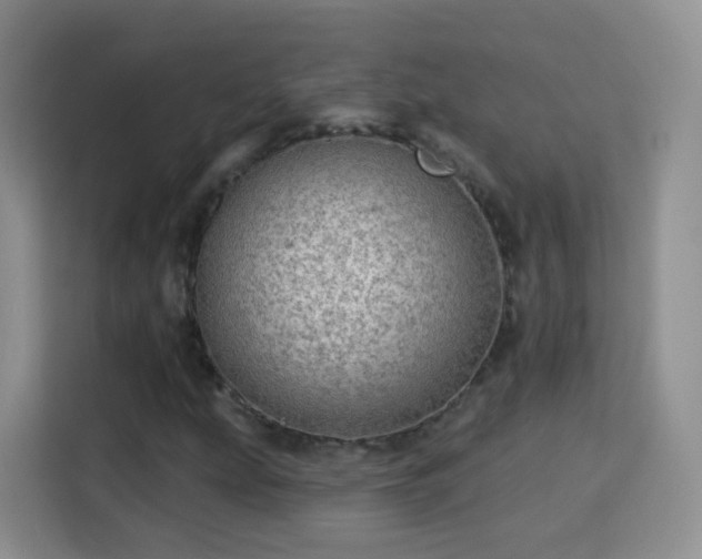 X0000115361207200911101149
