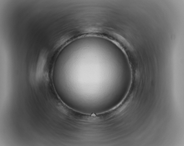 X0000115361209200911101149