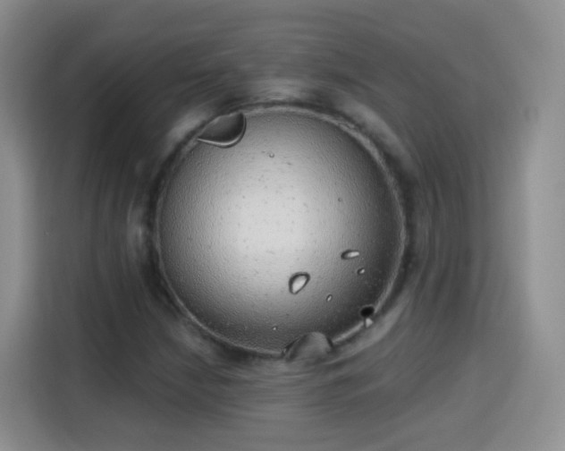 X0000115361210200911101149