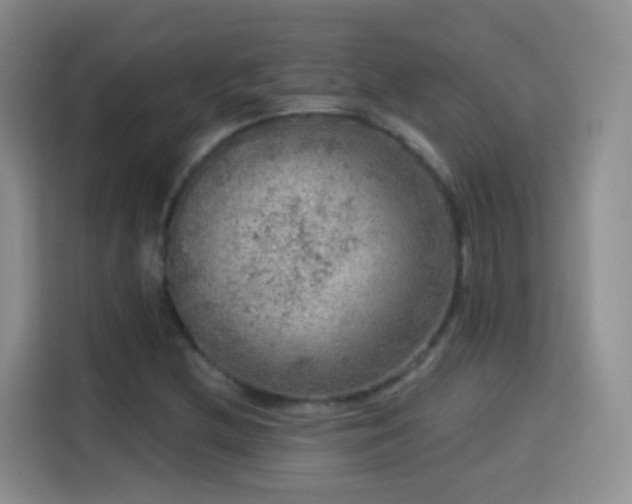 X0000115361212200911101149
