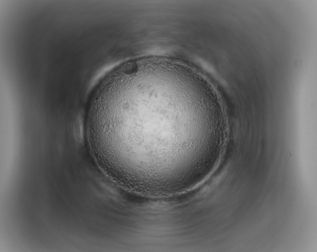 X0000115361214200911101149