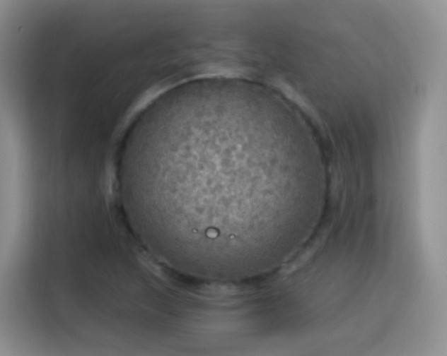 X0000115361215200911101149