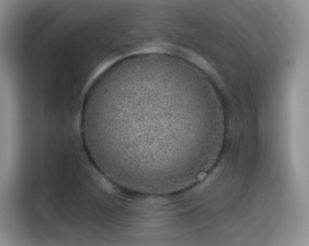 X0000115361216200911101149
