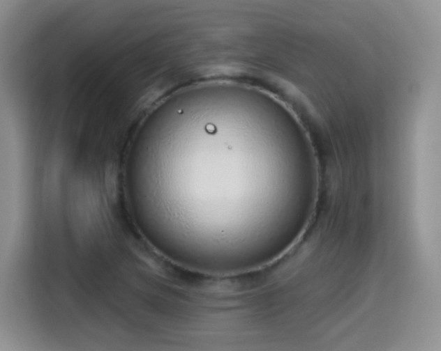 X0000115361217200911101149
