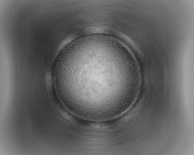 X0000115361218200911101149