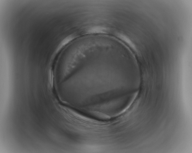 X0000115361219200911101150