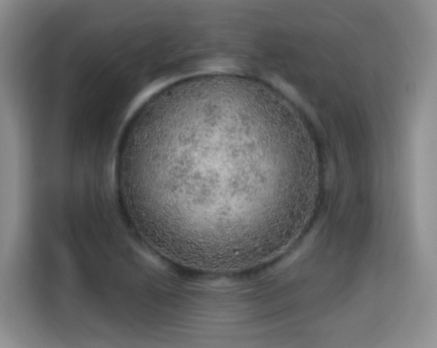 X0000115361222200911101150