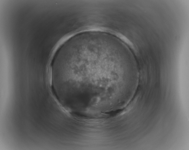 X0000115361223200911101150