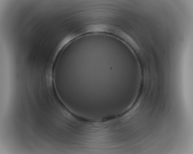 X0000115361226200911101150