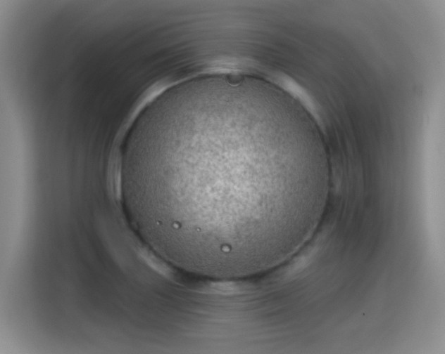 X0000115361227200911101150