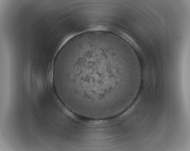 X0000115361228200911101150