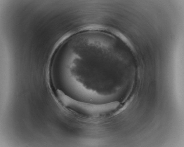X0000115361229200911101150