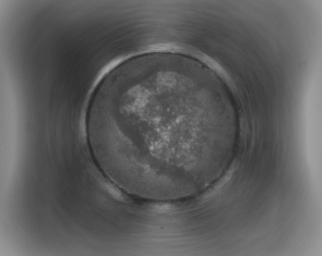 X0000115361230200911101150