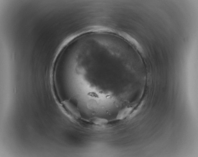 X0000115361231200911101150