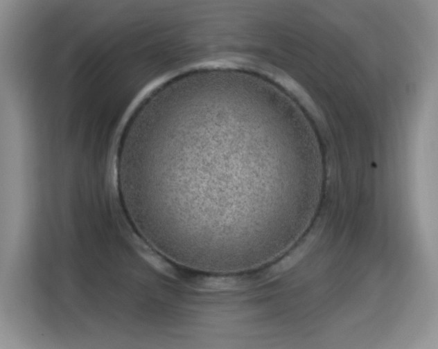 X0000115361232200911101150