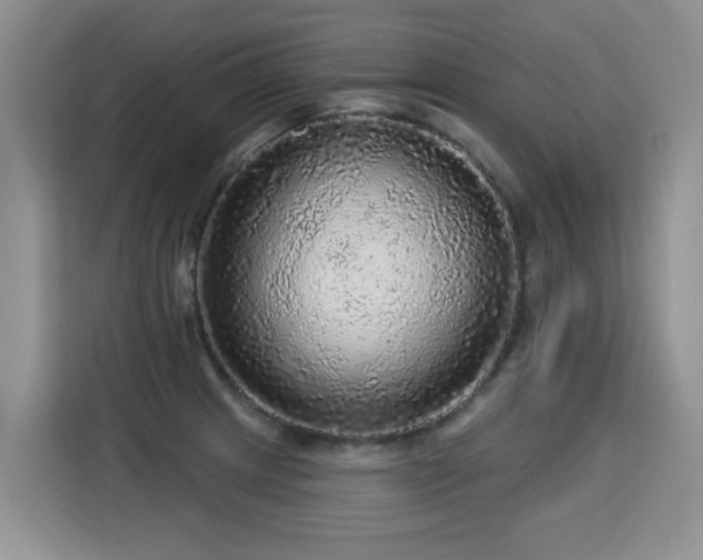 X0000115361233200911101150