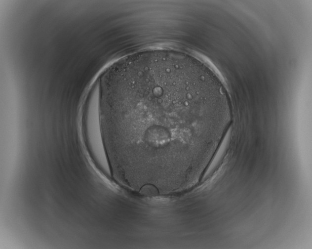 X0000115361235200911101150