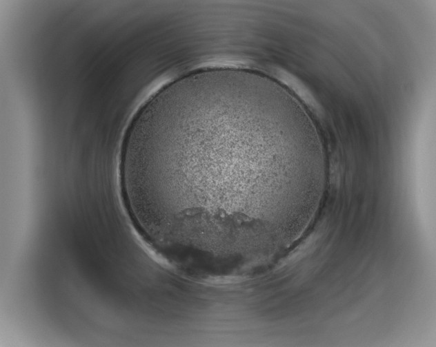 X0000115361237200911101150