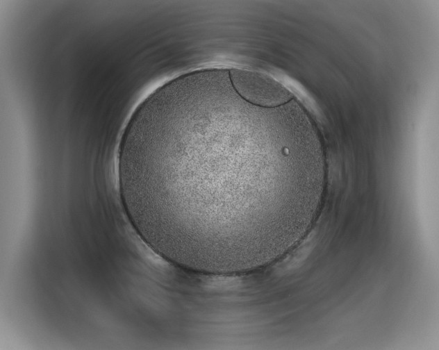 X0000115361238200911101150