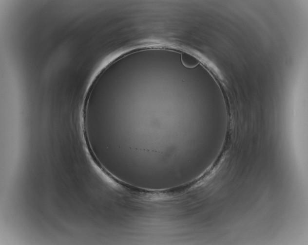 X0000115361239200911101150