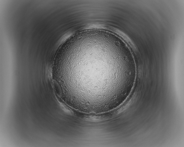 X0000115361241200911101150