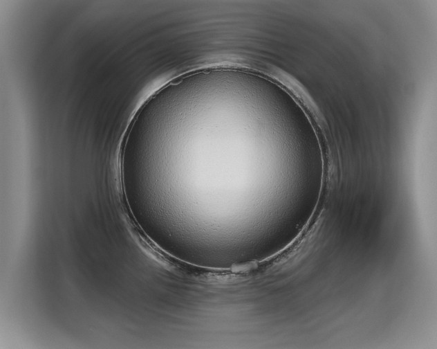 X0000115361242200911101150