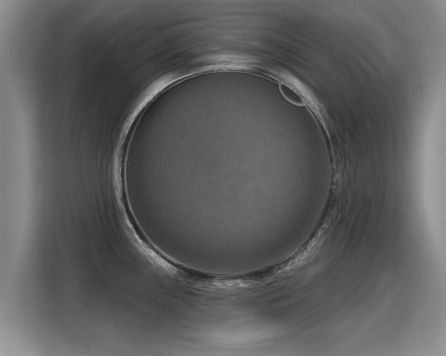 X0000115361243200911101150