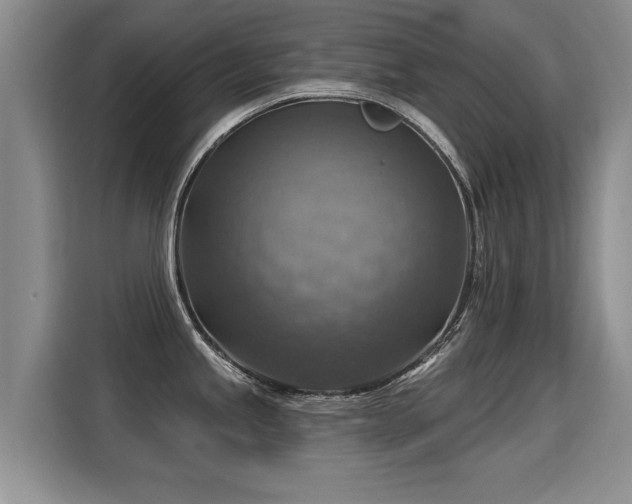 X0000115361245200911101150
