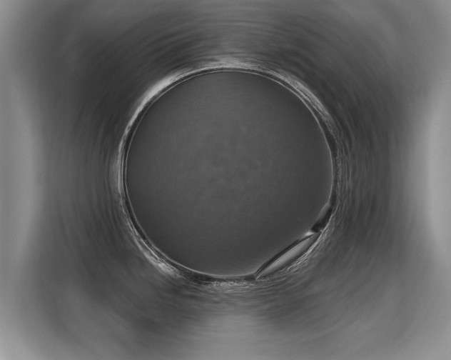 X0000115361246200911101150